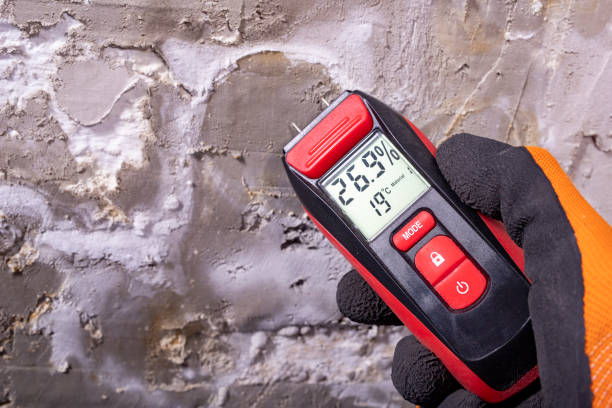 Best Toxic Mold Removal  in Tukwila, WA
