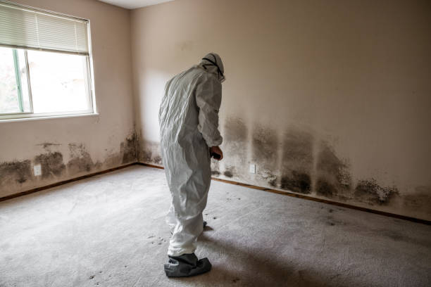 Best Mold Testing  in Tukwila, WA
